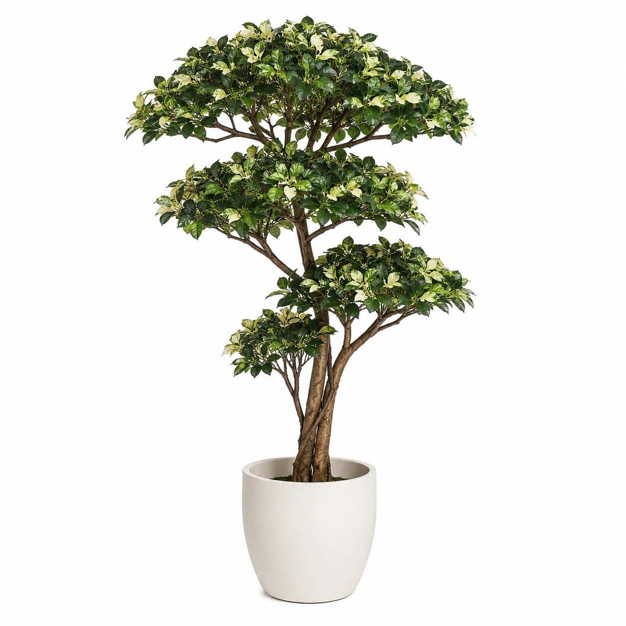 Arbre artificiel Ficus vert avec pot décoratif 160 cm