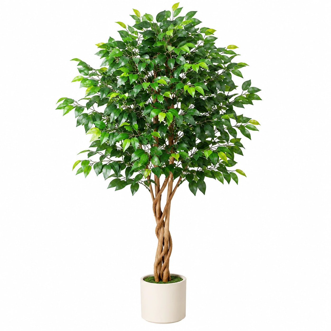 Olivier Artificiel en Pot 150cm pour Décoration Intérieure