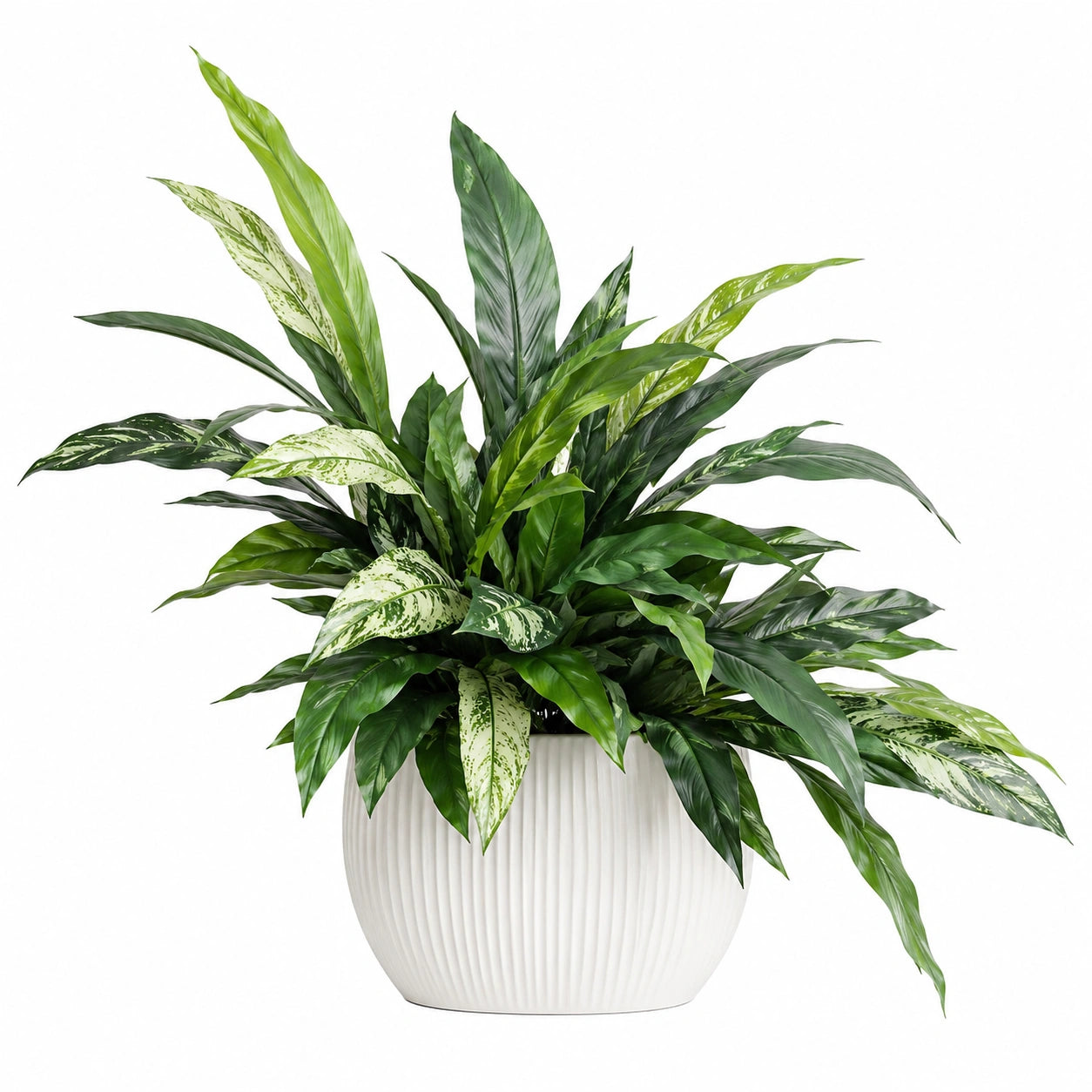 Plante Artificielle Verte avec Vase en Céramique Beige de 45 cm